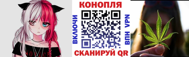 Купить закладку Йошкар-Ола Галлюциногенные грибы  Мефедрон  МДМА  Гашиш 