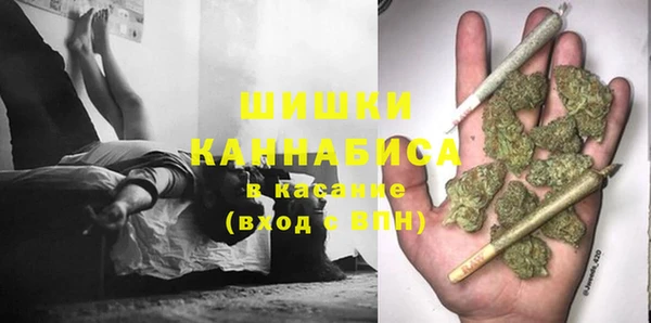 молекула духа Богородск